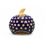 Bunzlau pompoen 47 70AX Pompoenen